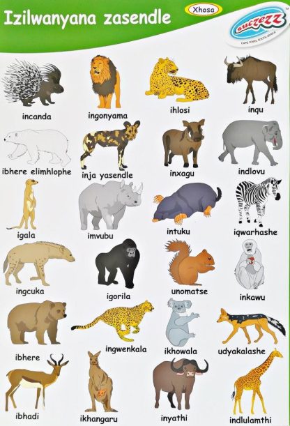 wild animals xhosa poster